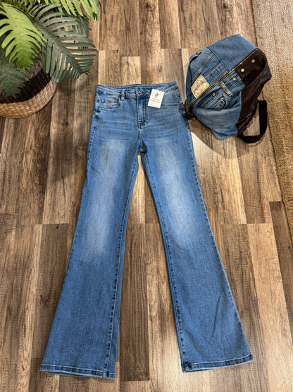 Jeans a zampa